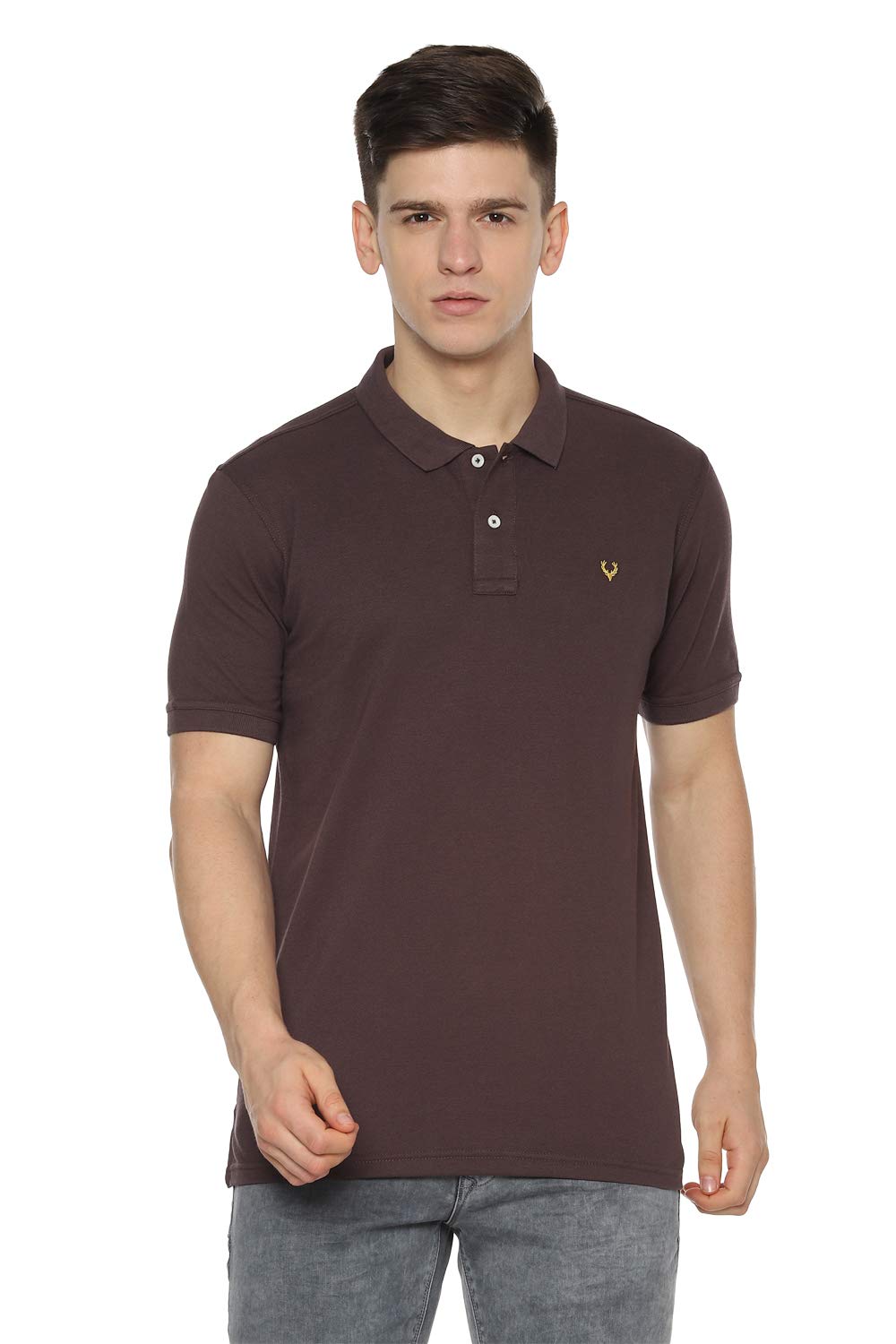 Allen Solly Men Polo