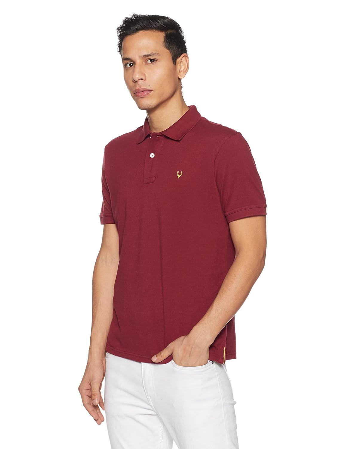 Allen Solly Men Polo