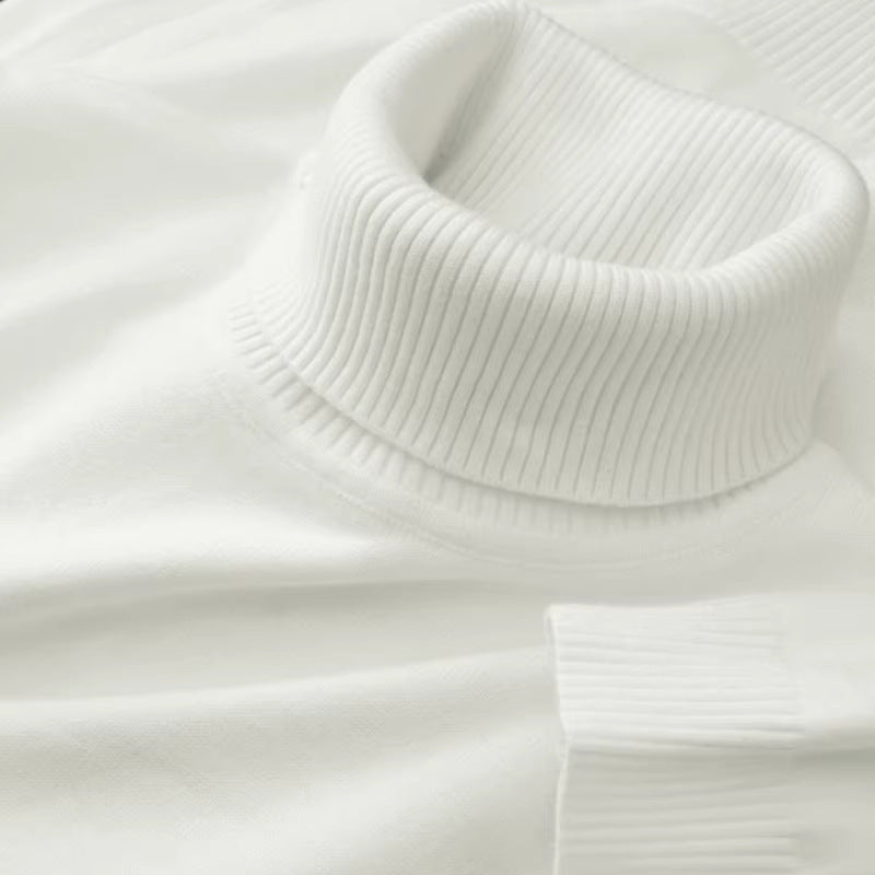 New Mens Soft Casual Warm Turtleneck Sweater